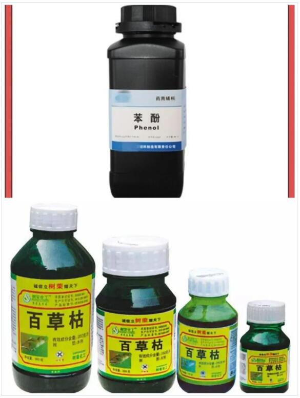 <a href='http://m.jbjbj.cn' title='國際貨運代理' >國際貨運代理</a>